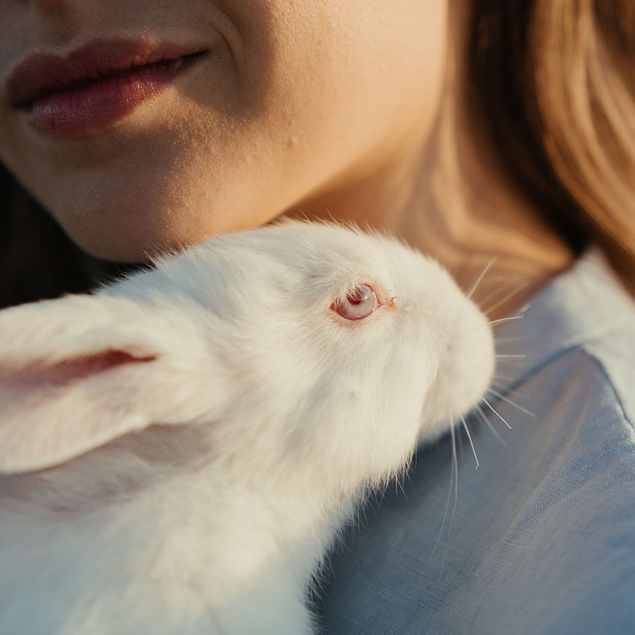 Grupo de apoyo para personas veganas